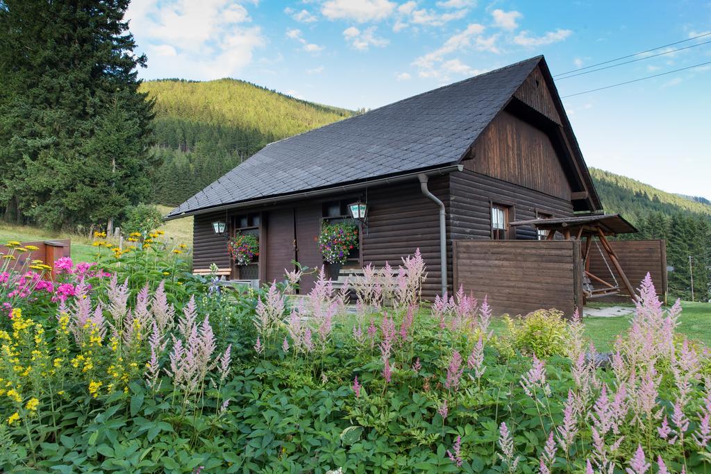 Gasthof Draxlerhaus Hohentauern Luaran gambar