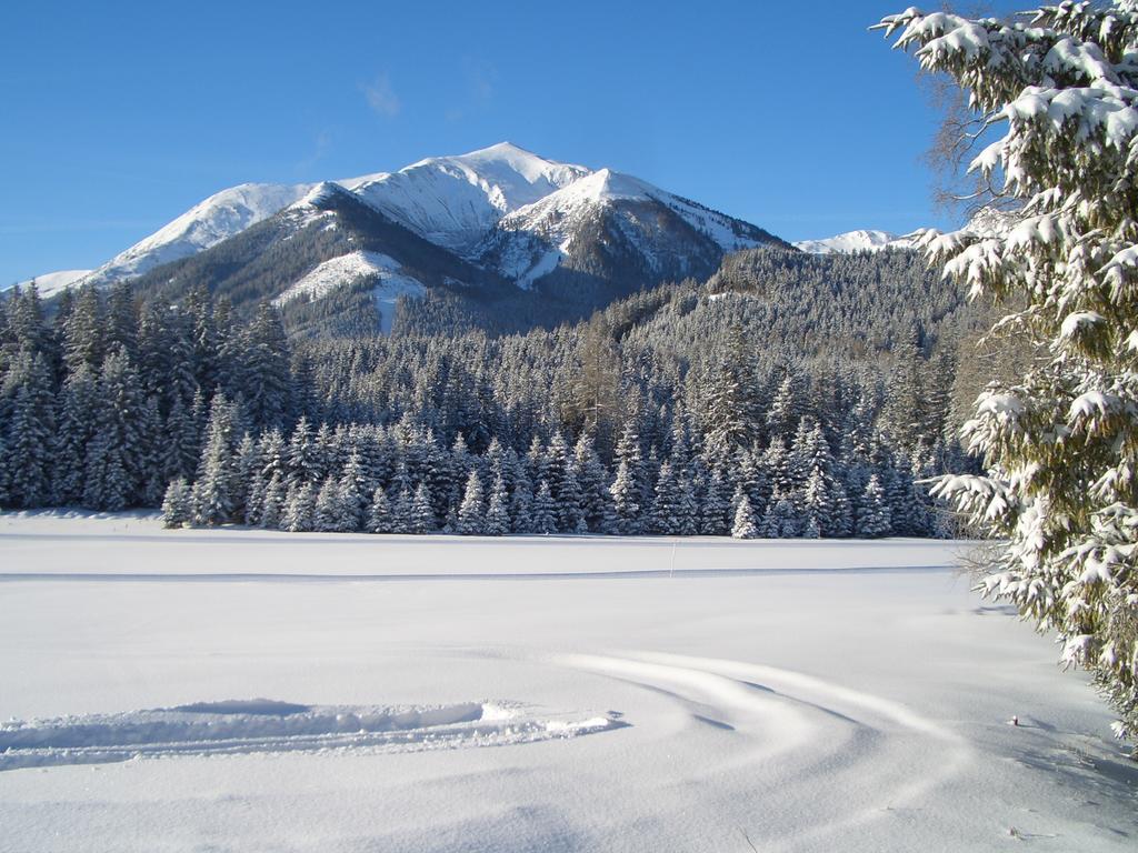 Gasthof Draxlerhaus Hohentauern Luaran gambar